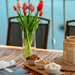 Waterfront Marija By Guide
